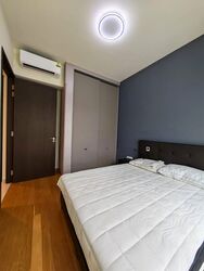 the-gazania photo thumbnail #2